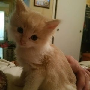 Meet your Posher, Casey